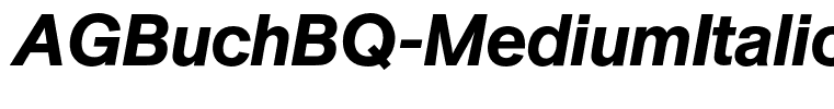 AGBuchBQ-MediumItalic
