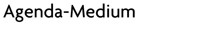 Agenda-Medium