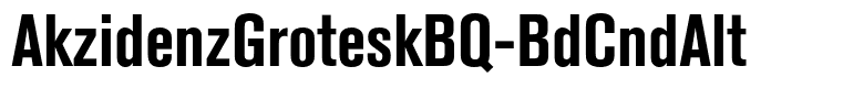 AkzidenzGroteskBQ-BdCndAlt
