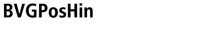 BVGPosHin