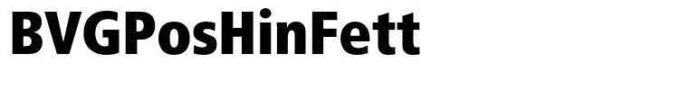 BVGPosHinFett
