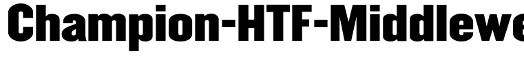 Champion-HTF-Middleweight