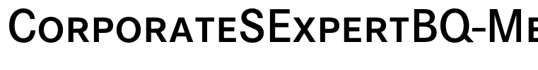 CorporateSExpertBQ-Medium