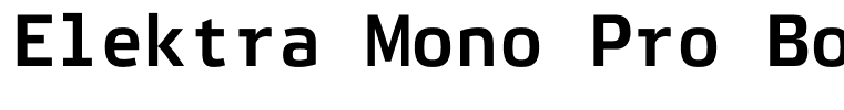Elektra Mono Pro Bold