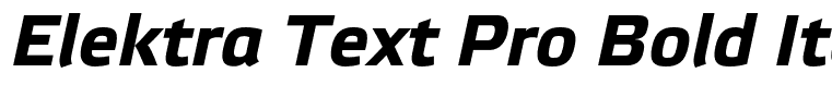 Elektra Text Pro Bold Italic