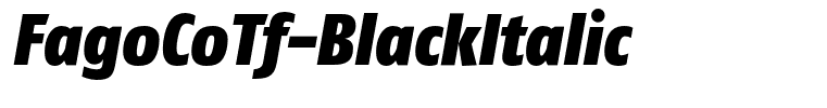FagoCoTf-BlackItalic