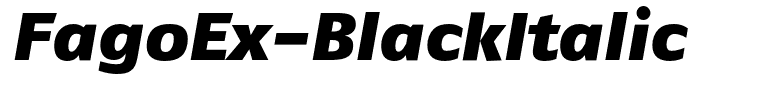 FagoEx-BlackItalic