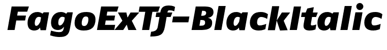 FagoExTf-BlackItalic