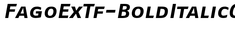 FagoExTf-BoldItalicCaps
