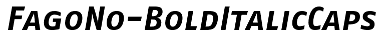 FagoNo-BoldItalicCaps