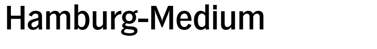 Hamburg-Medium