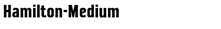 Hamilton-Medium