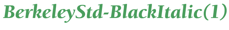 BerkeleyStd-BlackItalic(1)