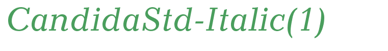 CandidaStd-Italic(1)