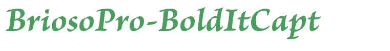 BriosoPro-BoldItCapt