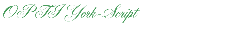 OPTIYork-Script