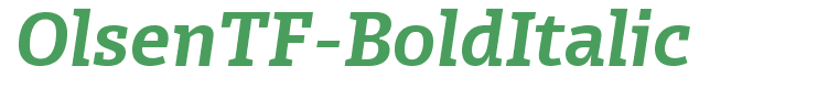 OlsenTF-BoldItalic