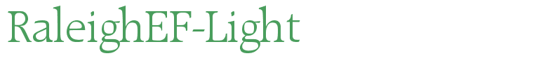 RaleighEF-Light