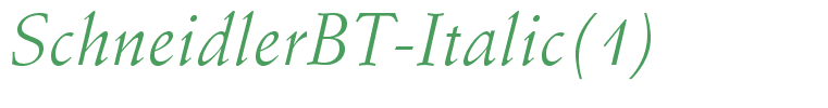 SchneidlerBT-Italic(1)