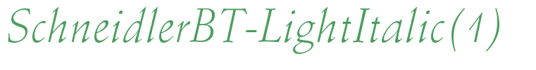 SchneidlerBT-LightItalic(1)
