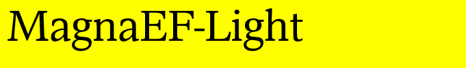 MagnaEF-Light