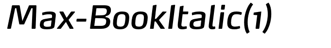 Max-BookItalic(1)