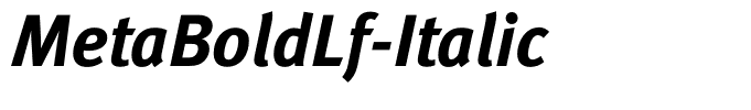 MetaBoldLf-Italic