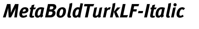 MetaBoldTurkLF-Italic