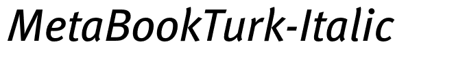 MetaBookTurk-Italic