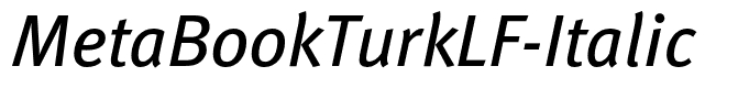 MetaBookTurkLF-Italic