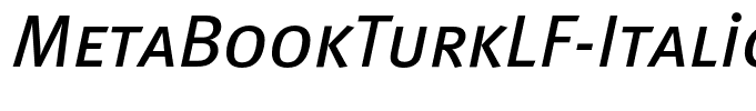 MetaBookTurkLF-ItalicCaps