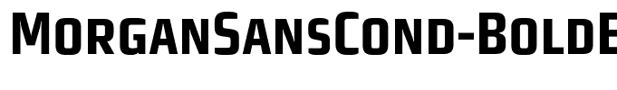MorganSansCond-BoldExpert