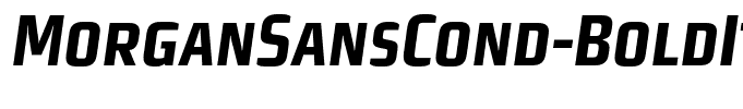 MorganSansCond-BoldItalicExpert