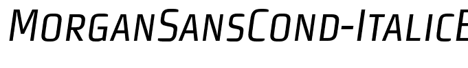 MorganSansCond-ItalicExpert