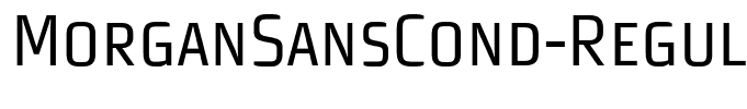 MorganSansCond-RegularExpert