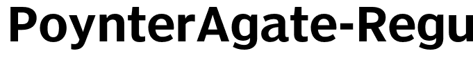 PoynterAgate-RegularThree