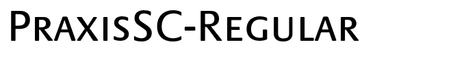 PraxisSC-Regular