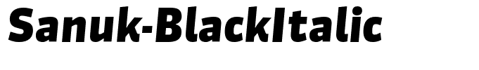 Sanuk-BlackItalic