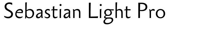 Sebastian Light Pro