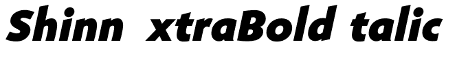 ShinnExtraBoldItalic