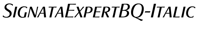 SignataExpertBQ-Italic