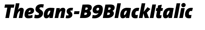 TheSans-B9BlackItalic