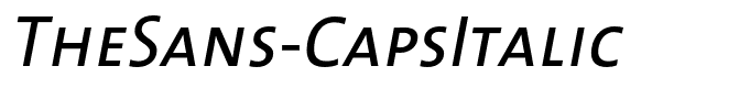 TheSans-CapsItalic