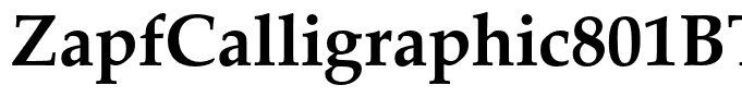 ZapfCalligraphic801BT-Bold(1)