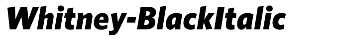 Whitney-BlackItalic