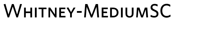 Whitney-MediumSC