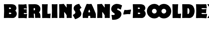 BerlinSans-BoldExp