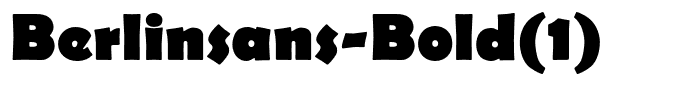 Berlinsans-Bold(1)
