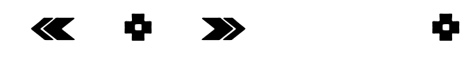 Berlinsans-BoldDingbats(1)
