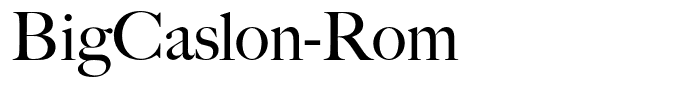 BigCaslon-Rom